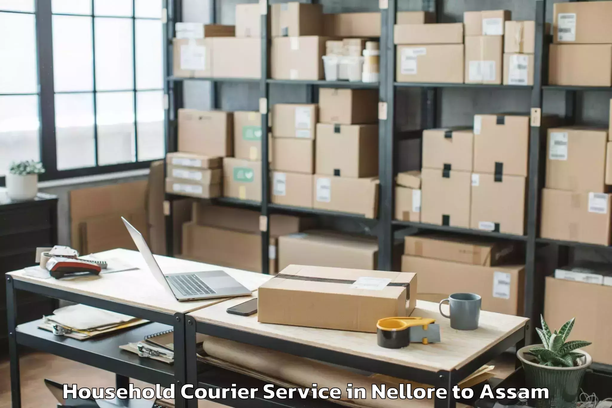 Easy Nellore to Laharighat Household Courier Booking